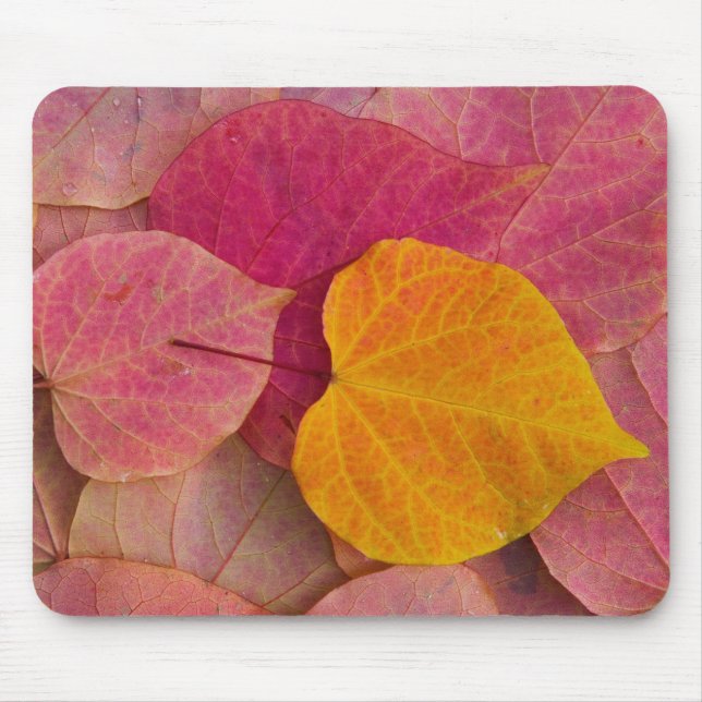 Fall colour on Forest Pansy Redbud fallen Mouse Pad (Front)