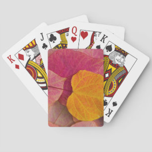 Fall colour on Forest Pansy Redbud fallen Playing Cards