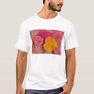 Fall colour on Forest Pansy Redbud fallen T-Shirt