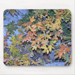 Fall Colours 1 Mouse Pad