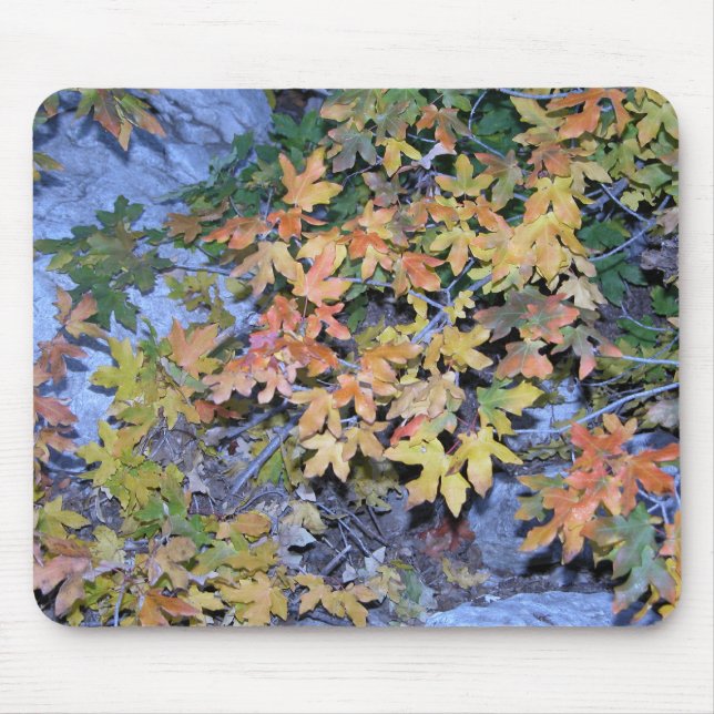 Fall Colours 1 Mouse Pad (Front)