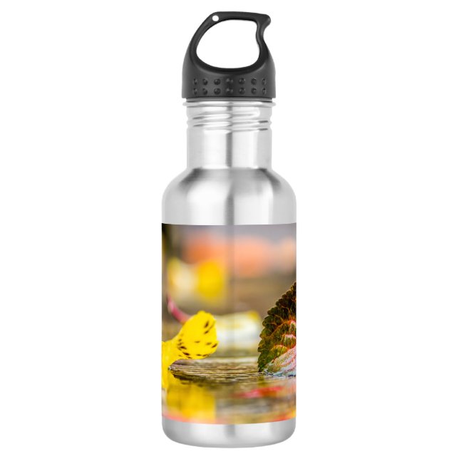 Fall colours 532 ml water bottle (Front)