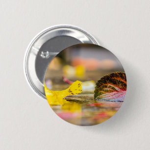 Fall colours 6 cm round badge