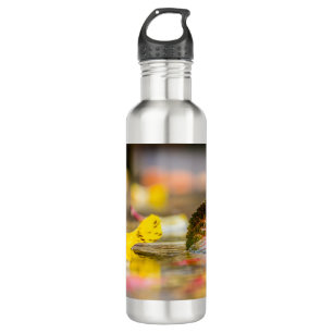 Fall colours 710 ml water bottle