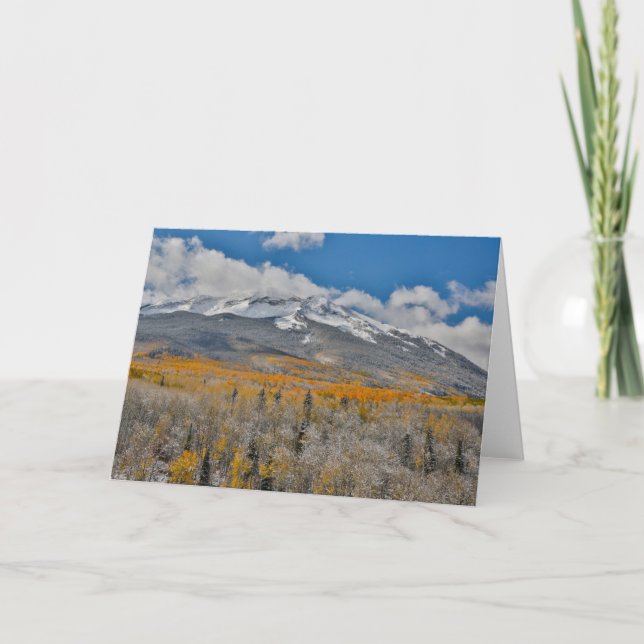 Fall Colours Aspens &  | Rocky Mountains, Colorado Card (Front)