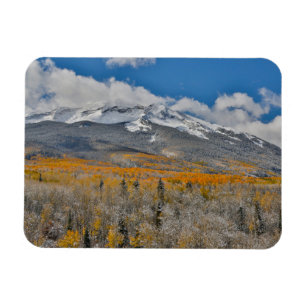 Fall Colours Aspens &    Rocky Mountains, Colorado Magnet
