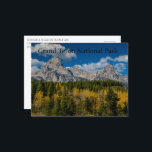 Fall Colours at Grand Teton National Park Postcard<br><div class="desc">Fall colours at the Taggert Lake Trailhead in Grand Teton National Park,  Wyoming.</div>