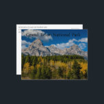 Fall Colours at Grand Teton National Park Postcard<br><div class="desc">Fall colours at the Taggert Lake Trailhead in Grand Teton National Park,  Wyoming.</div>