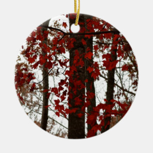 Fall Colours Autumn Trees Red Canadian Maple Ceramic Tree Decoration