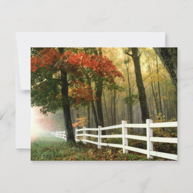 Fall Colours Bible Verse Sympathy Card (Front)