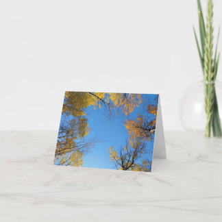 Fall colours blank notecard