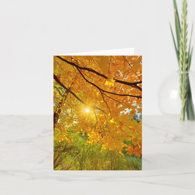 Fall colours blank notecard (Front)