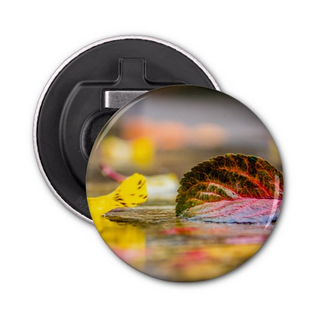Fall colours bottle opener (Front)