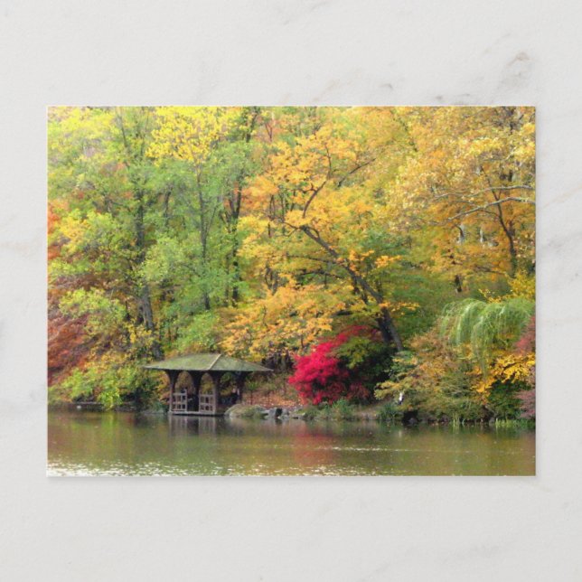 Fall Colours by the Lake Central Park Postcard (Front)