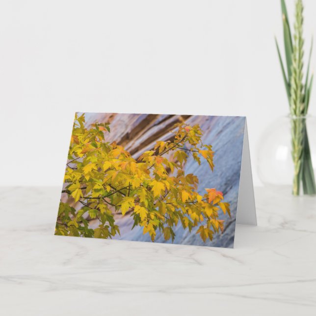 Fall Colours Card (Front)