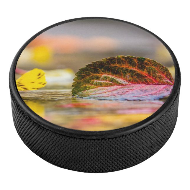 Fall colours hockey puck (3/4)