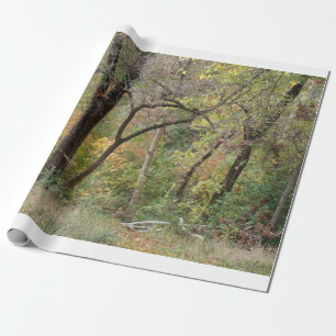 Fall Colours in a Forest Wrapping Paper