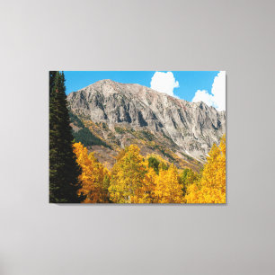 Fall Colours in Crested Butte, Coloraado Canvas Print