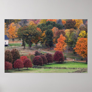 Fall Colours in Massachusetts  Poster
