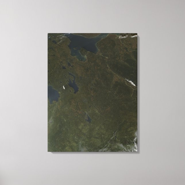 Fall colours in northwestern Russia Canvas Print (Front)
