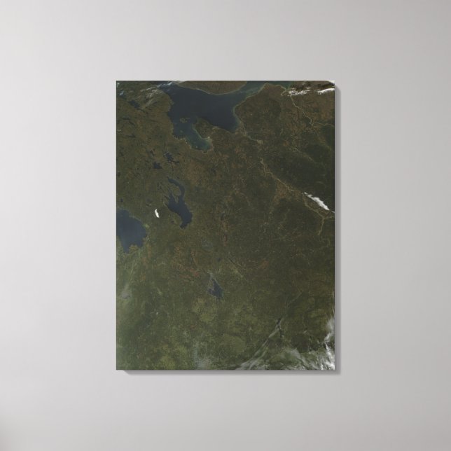 Fall colours in northwestern Russia Canvas Print (Front)
