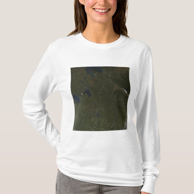 Fall colours in northwestern Russia T-Shirt (Front)