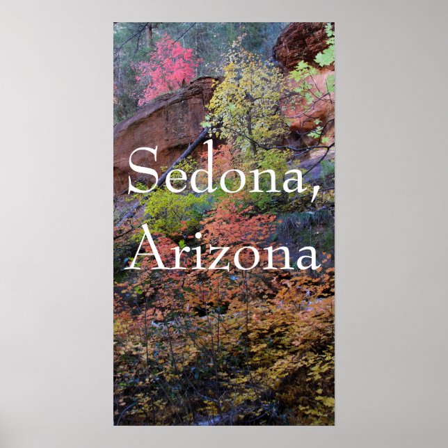 Fall colours in Sedona Poster (Front)