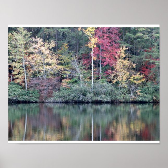 Fall colours in Tennessee Poster (Front)