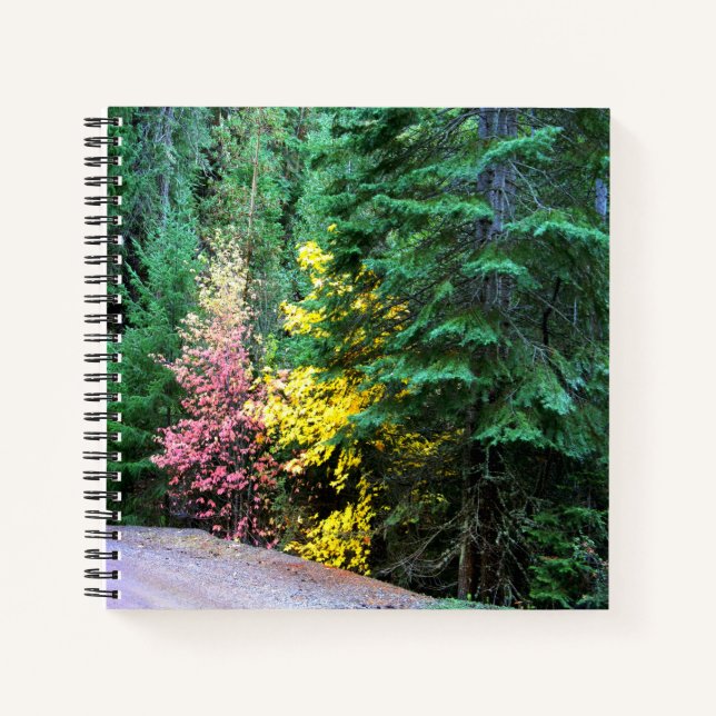 Fall colours in the mountains.... notebook (Front)