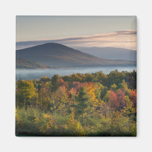 Fall Colours in the White Mountains Magnet