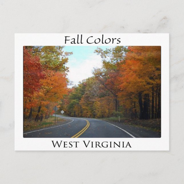 Fall Colours in West Virginia Postcard (Front)