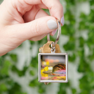 Fall colours key ring