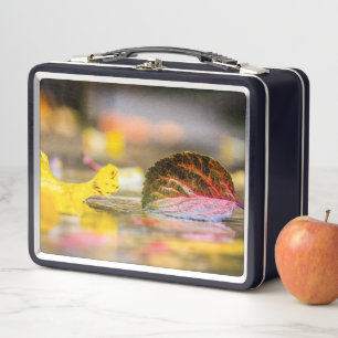 Fall colours metal lunch box