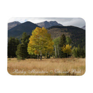 Fall Colours Mummy Range Rocky Mtn National Park Magnet