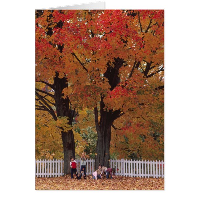 Fall Colours Note Card (Front)