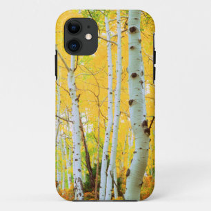 Fall colours of Aspen trees 1 Case-Mate iPhone Case