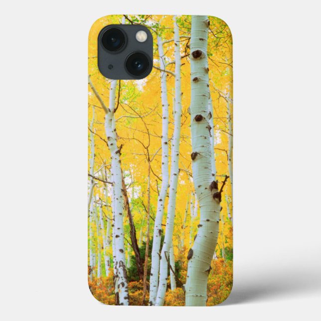 Fall colours of Aspen trees 1 Case-Mate iPhone Case (Back)