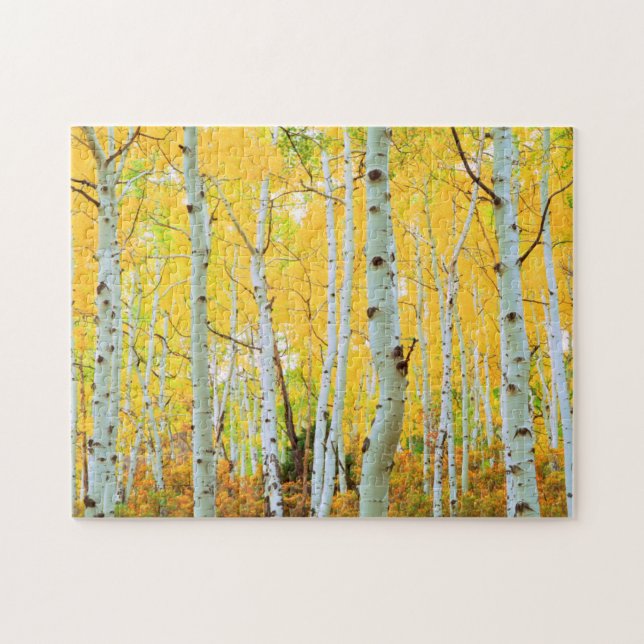 Fall colours of Aspen trees 1 Jigsaw Puzzle (Horizontal)