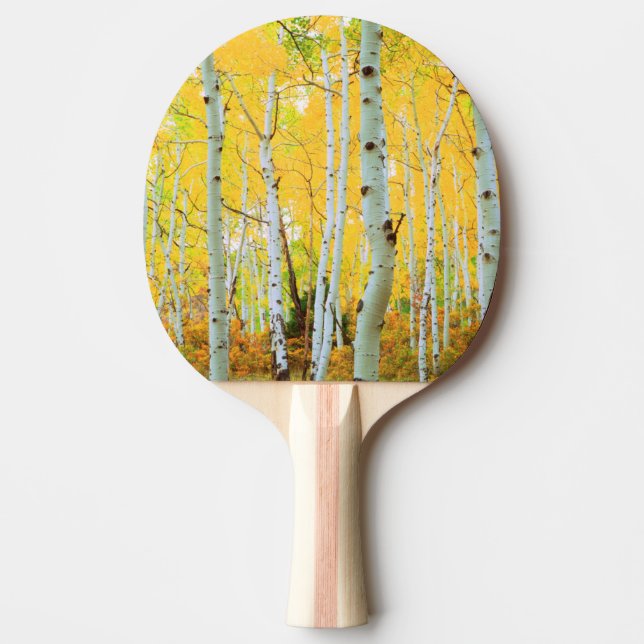 Fall colours of Aspen trees 1 Ping Pong Paddle (Front)
