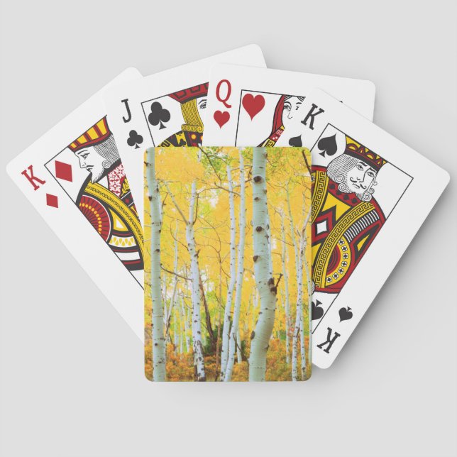 Fall colours of Aspen trees 1 Playing Cards (Back)