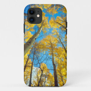 Fall colours of Aspen trees 2 Case-Mate iPhone Case