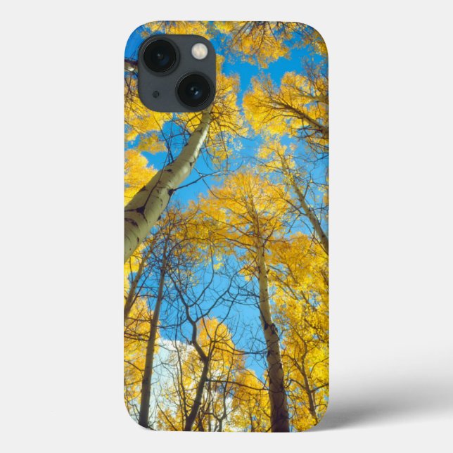 Fall colours of Aspen trees 2 Case-Mate iPhone Case (Back)