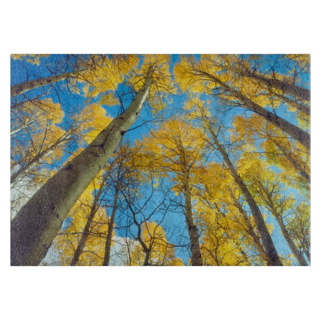 Fall colours of Aspen trees 2 Cutting Board (Front)