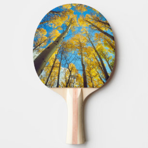 Fall colours of Aspen trees 2 Ping Pong Paddle