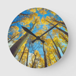 Fall colours of Aspen trees 2 Round Clock