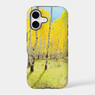 Fall colours of Aspen trees 4