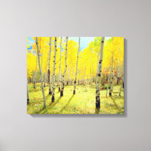 Fall colours of Aspen trees 4 Canvas Print