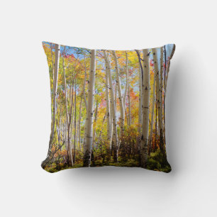 Fall colours of Aspen trees 5 Cushion