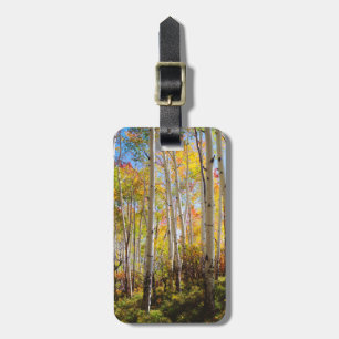 Fall colours of Aspen trees 5 Luggage Tag