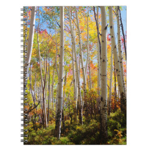 Fall colours of Aspen trees 5 Notebook